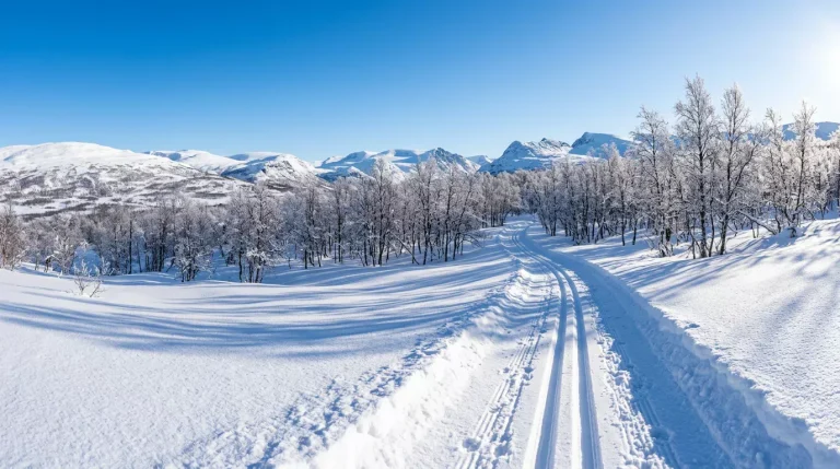 Vintersport-betting med MiFinity for langrenn skiskyting og alpint